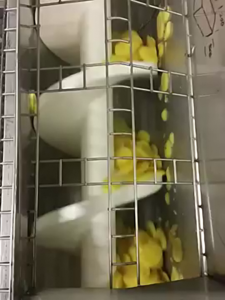 Archimedys™ pour le convoyage de pommes de terre