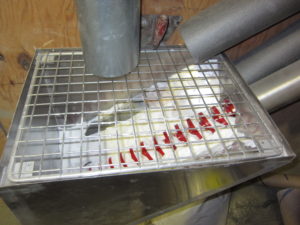 Convoyeurs à vis sans fin pour le sel